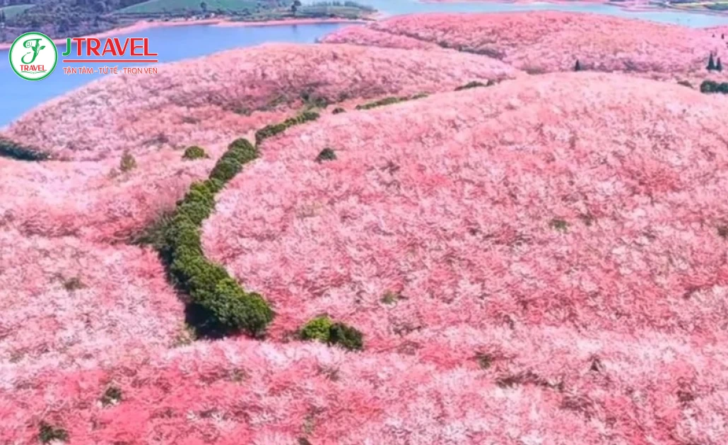 Mùa xuân Quý Châu mát mẻ, dễ chịu