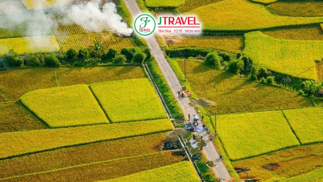 Mai Châu mùa lúa chín thu hút các nhiếp ảnh gia