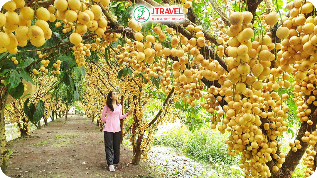 Vườn trái cây Trung An là lựa chọn khá lý tưởng để thư giãn