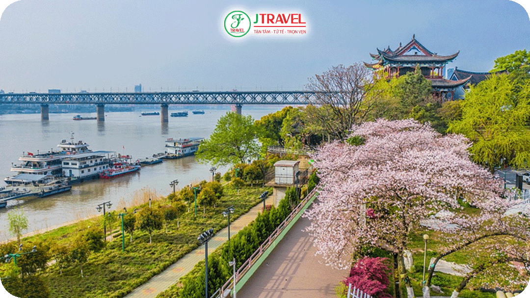 Khu vực Quảng Hiển lý tưởng để ngắm hoa kết hợp kiến trúc cổ