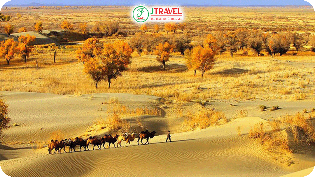 Sa mạc Taklamakan – Vẻ đẹp khắc nghiệt đầy mê hoặc du khách