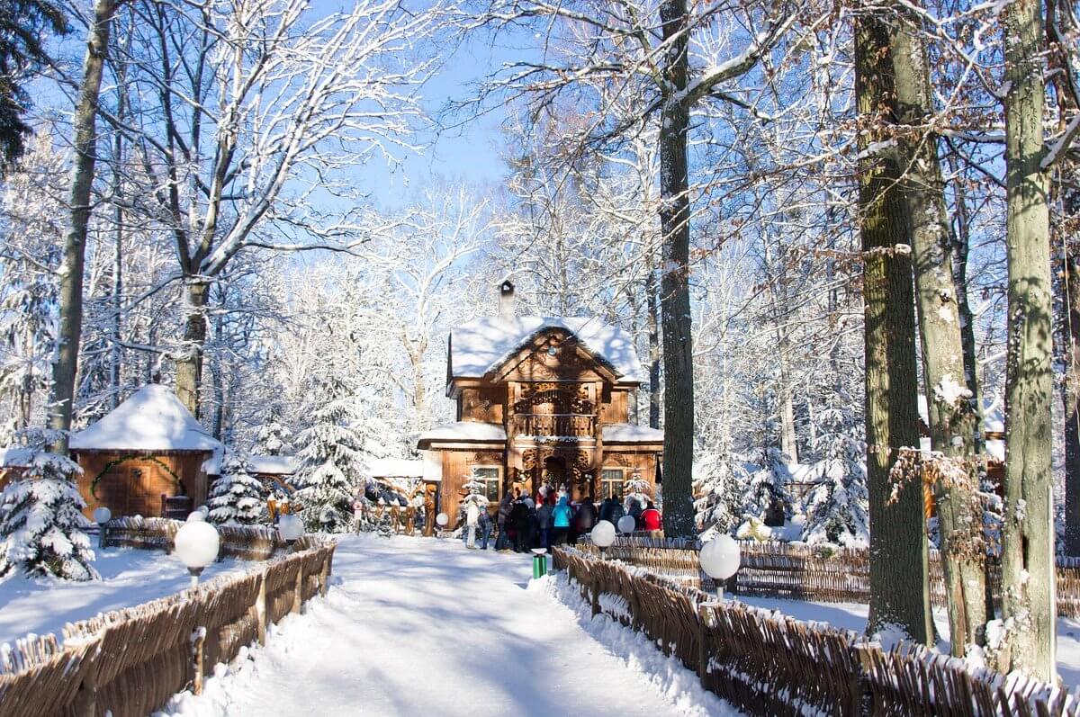 Thiên nhiên nguyên sơ tại Belovezhskaya Pushcha vào mùa đông