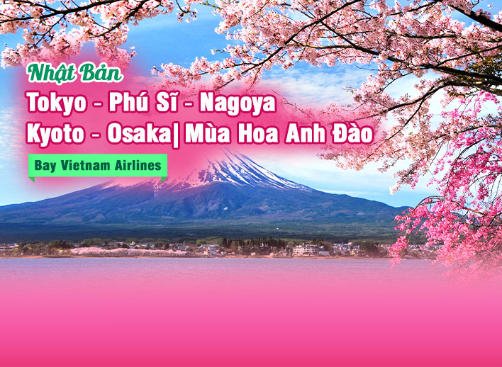 Tour Hoa Anh Đào Nhật Bản 6N5Đ: Tokyo – Phú Sĩ – Nagoya – Kyoto – Osaka