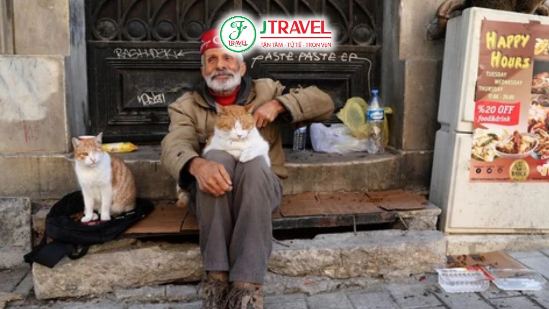 Văn hóa Islam và sự yêu quý mèo tại Istanbul