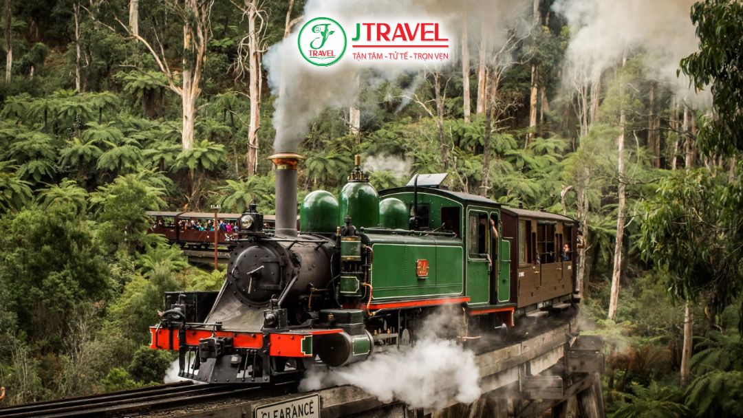 Tàu lửa hơi nước Puffing Billy Melbourne