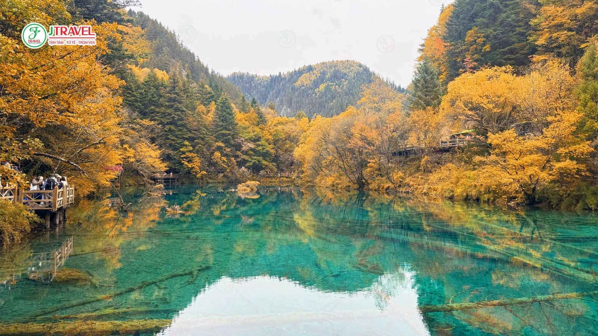 Cửu Trại Câu mùa thu 2025