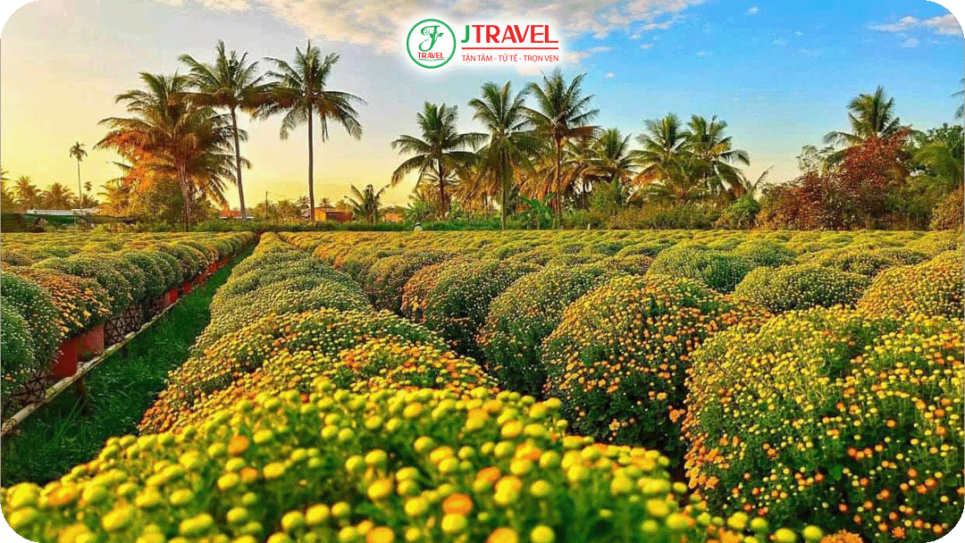 Sa Đéc nổi tiếng với làng hoa lâu đời, đặc biệt rực rỡ vào dịp cuối năm
