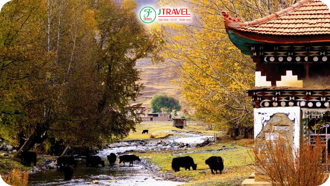 Tân Đô Kiều - thiên đường nhiếp ảnh của Tứ Xuyên