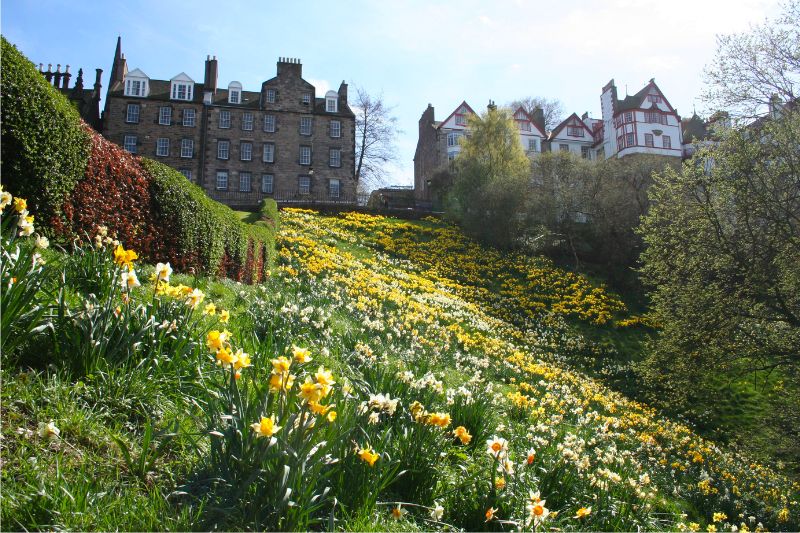 Cảnh sắc thiên nhiên thơ mộng tại thành phố Edinburgh vào mùa xuân (ảnh internet)