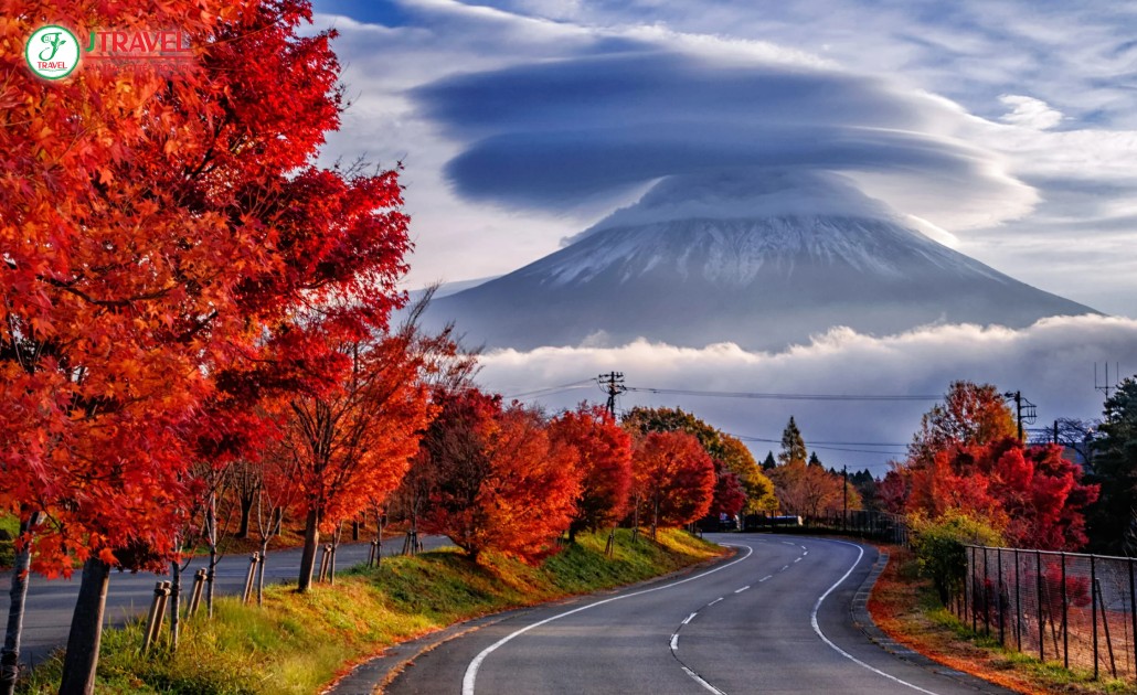 Mùa thu Shizuoka Nhật Bản với lá vàng lá đỏ rực rỡ