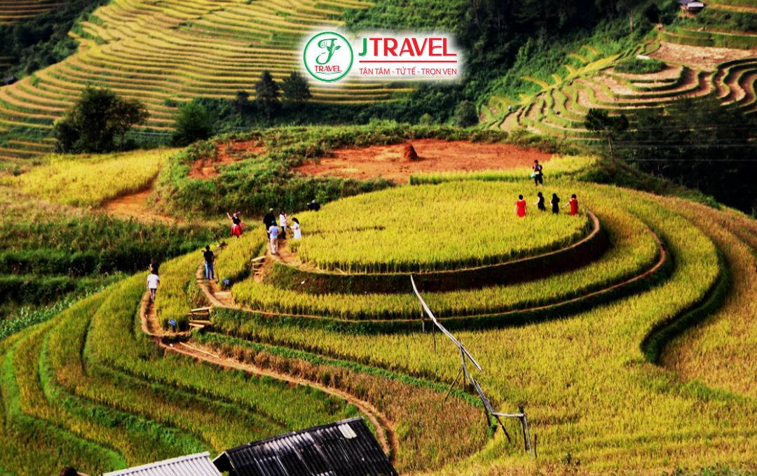 Đồi Mâm Xôi La Pán Tẩn ở đâu