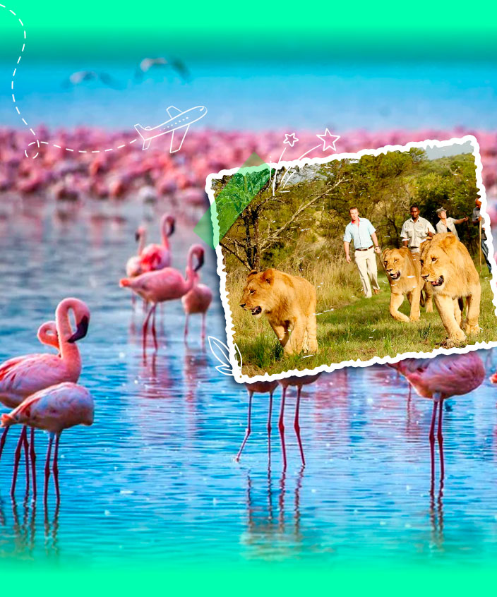 Tour Đông Phi Mùa Thú Di Cư | Zambia - Zimbabwe - Kenya – Tanzania
