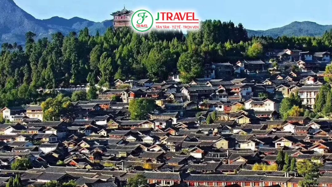 Góc nhìn đồi sư tử