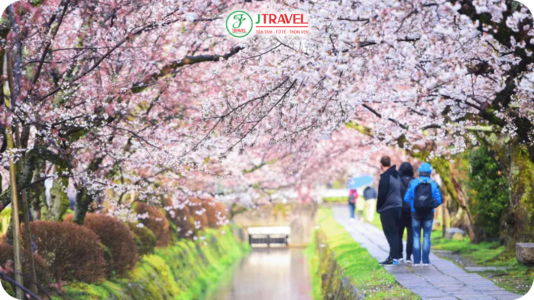 Con đường Triết Học với hàng cây sakura chạy dài bên dòng kênh nhỏ