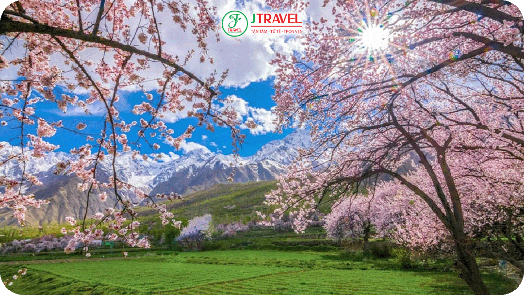 Ở khu vực miền Bắc mang vẻ đẹp rất riêng vào mùa xuân