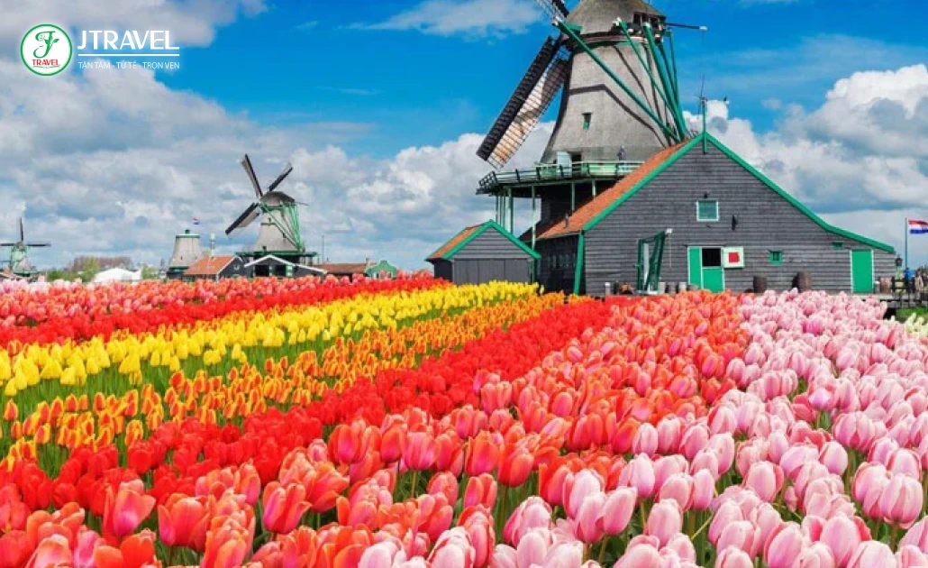 Du lịch châu Âu mùa xuân với hoa nở và thời tiết dễ chịu