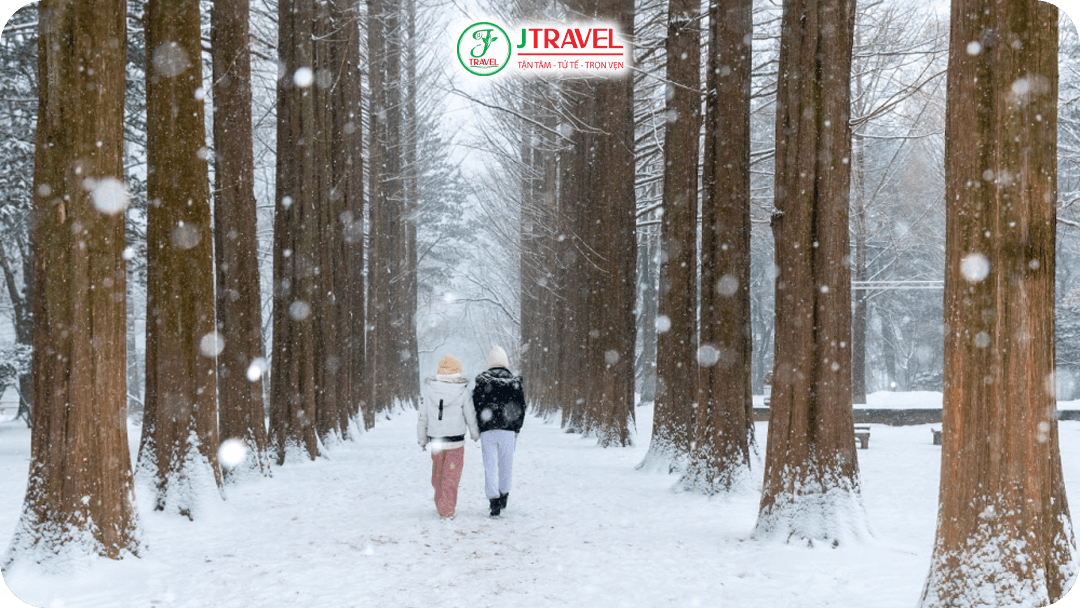 Đi bộ qua đại lộ tuyết trắng đảo Nami