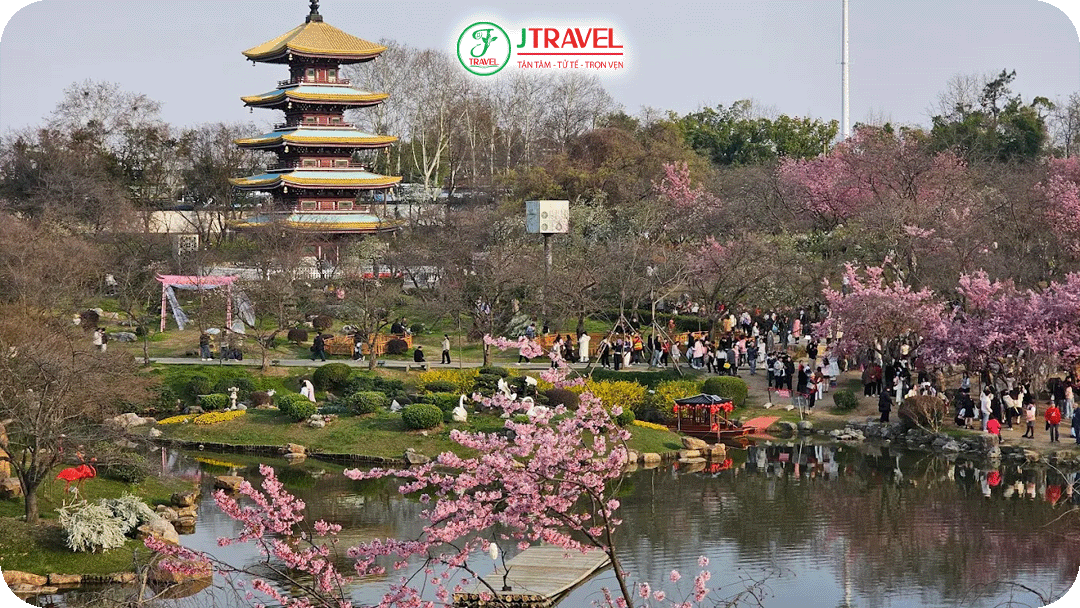 Vườn hoa anh đào Đông Hồ là điểm ngắm hoa nổi tiếng nhất ở Vũ Hán với diện tích rộng