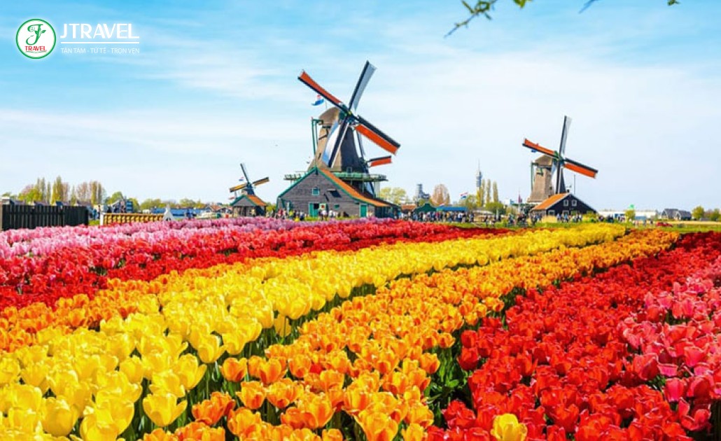 Làng cối xay gió Zaanse Schans, Hà Lan