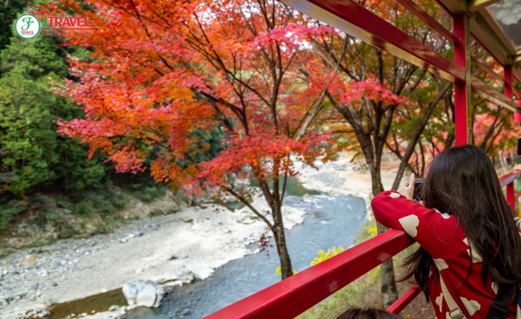 Du khách ghi lại khoảnh khắc trên tàu Sagano