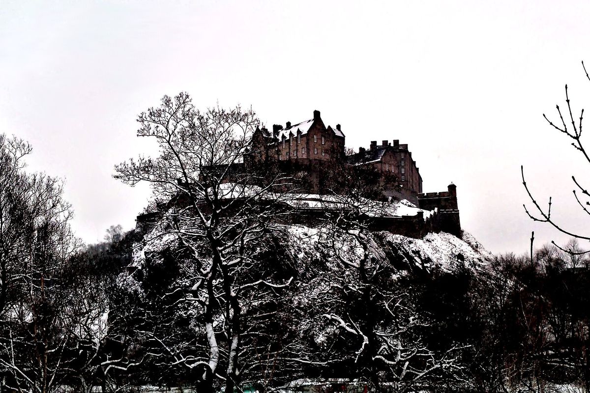 Lâu đài Edinburgh giữa hàng cây phủ tuyết mùa đông