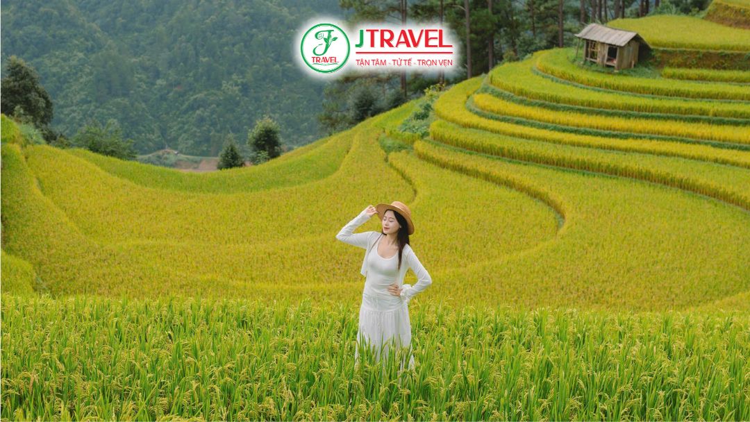 Săn ảnh mùa vàng Mù Cang Chải