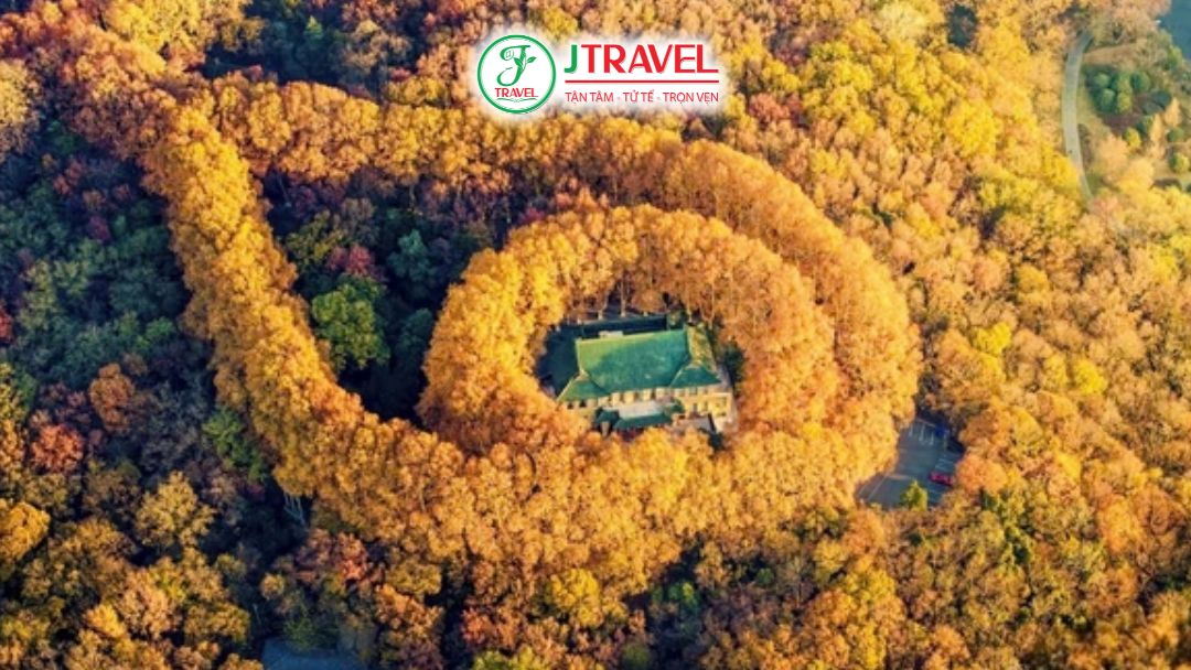 Điều Thu Hút Du Khách Không Chỉ Là Lá Vàng