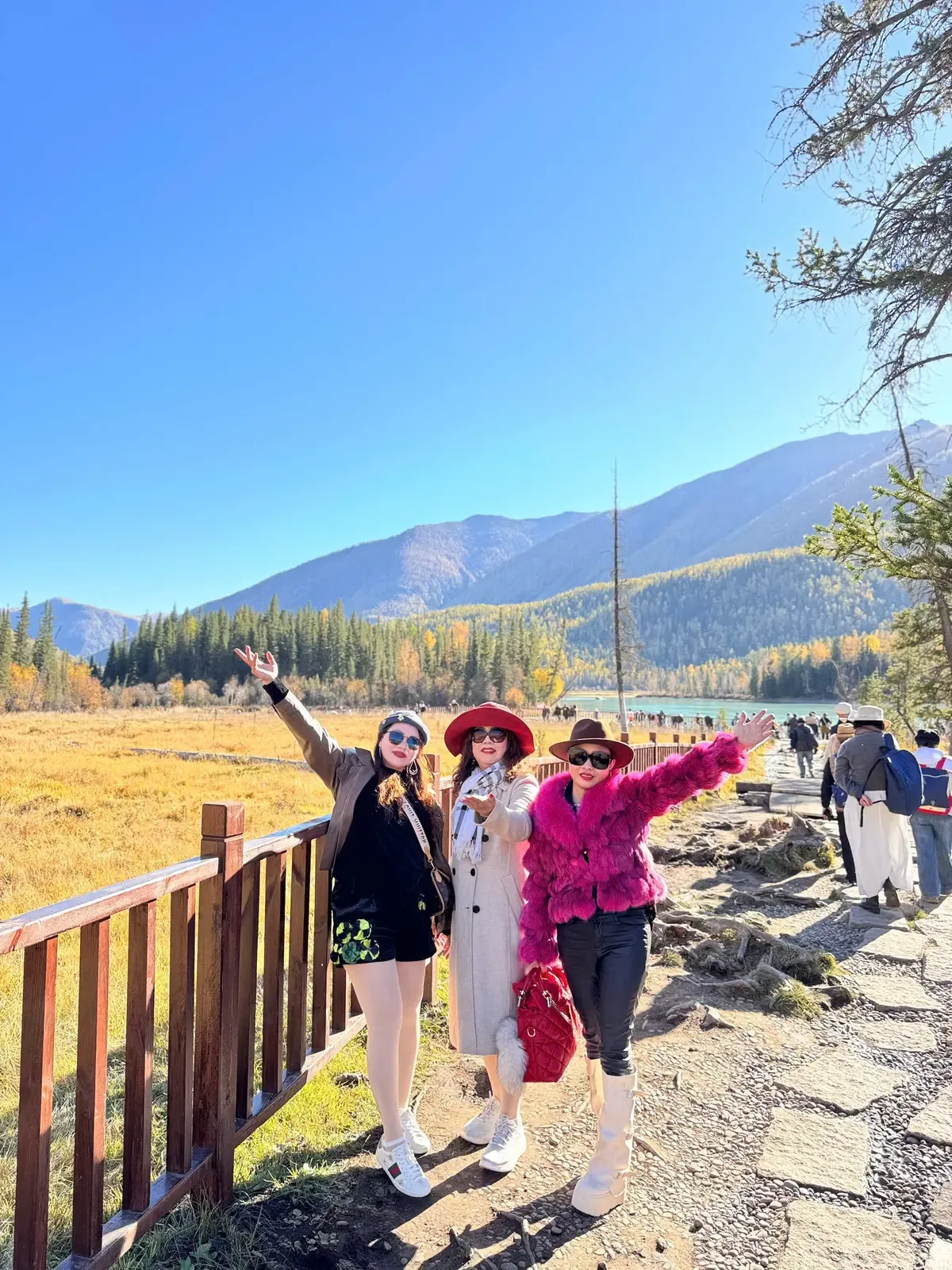 Đoàn khách J Travel bên đồng cỏ hồ Kanas mùa thu, Bắc Tân Cương