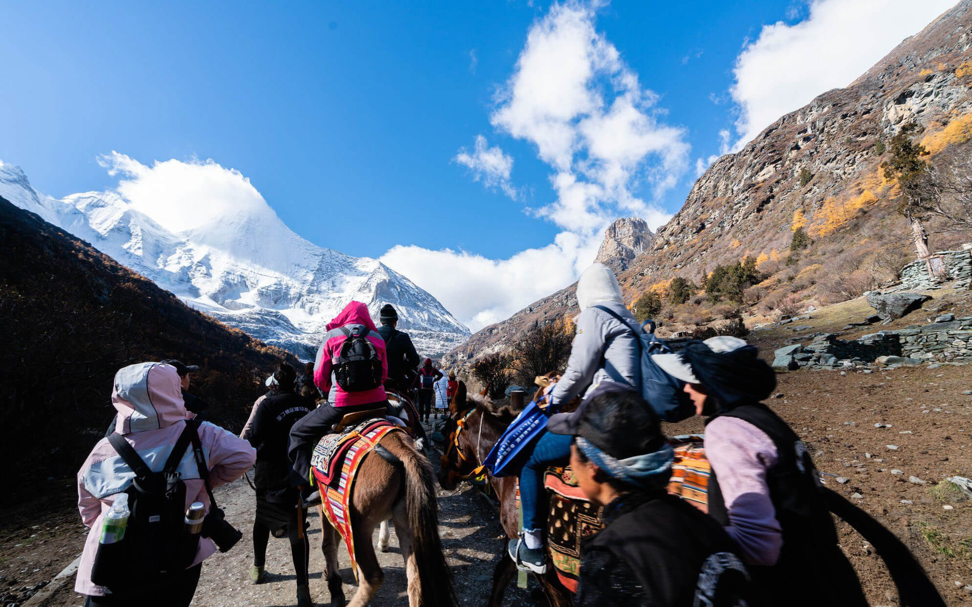 dich-vu-cuo-ngua-o-a-dinh