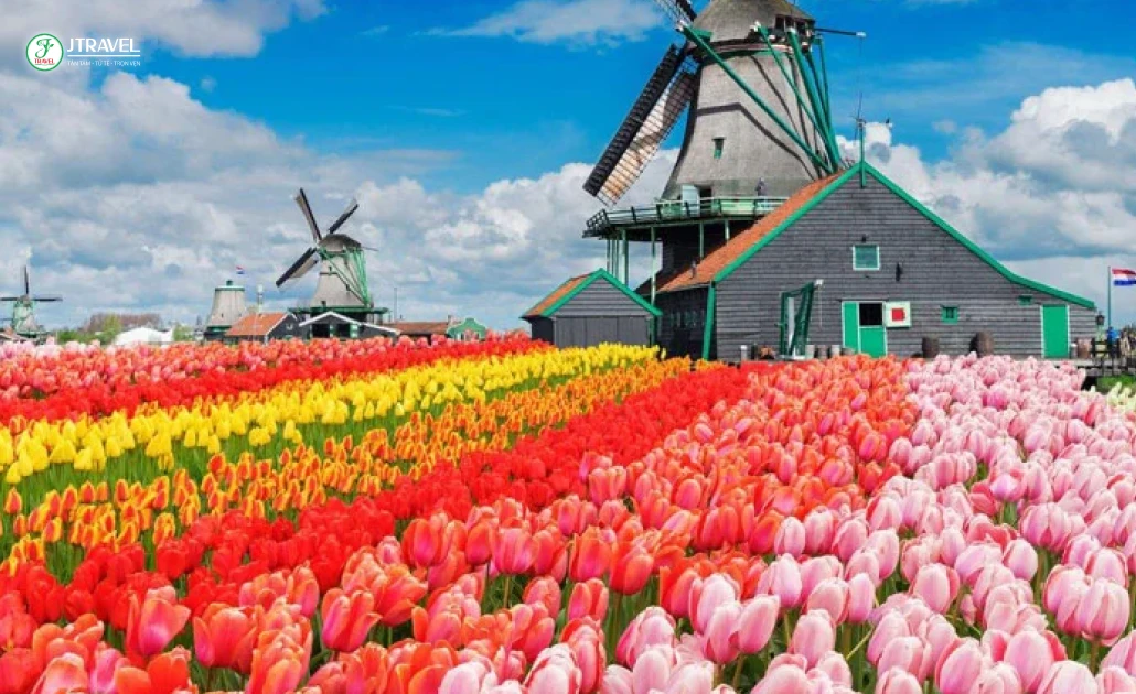 Du lịch Tây Âu vào mùa xuân 