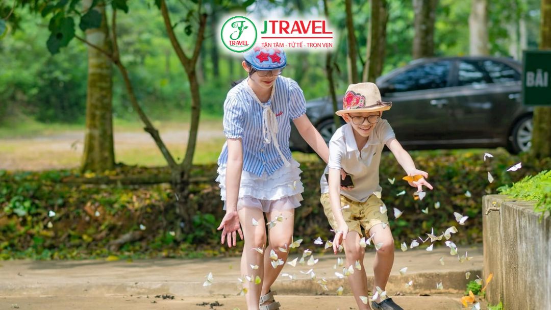 Không khí trong vườn quốc gia Cúc Phương