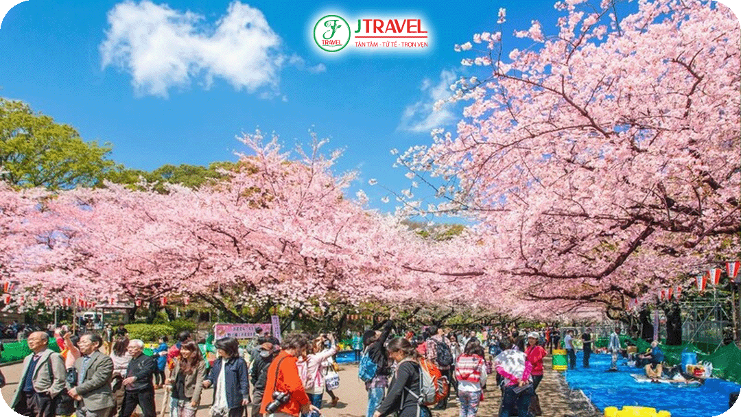 Đắm mình vào lễ hội và văn hóa mùa xuân đặc sắc Hàn Quốc