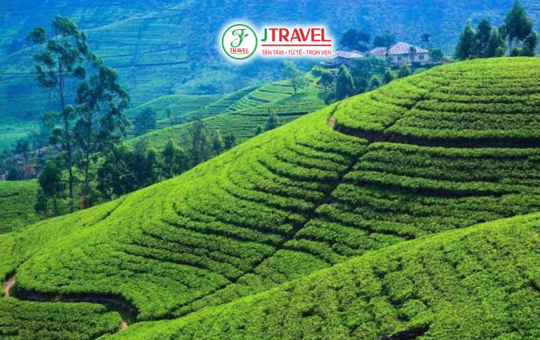 Chi phí du lịch Sri Lanka khoảng bao nhiêu