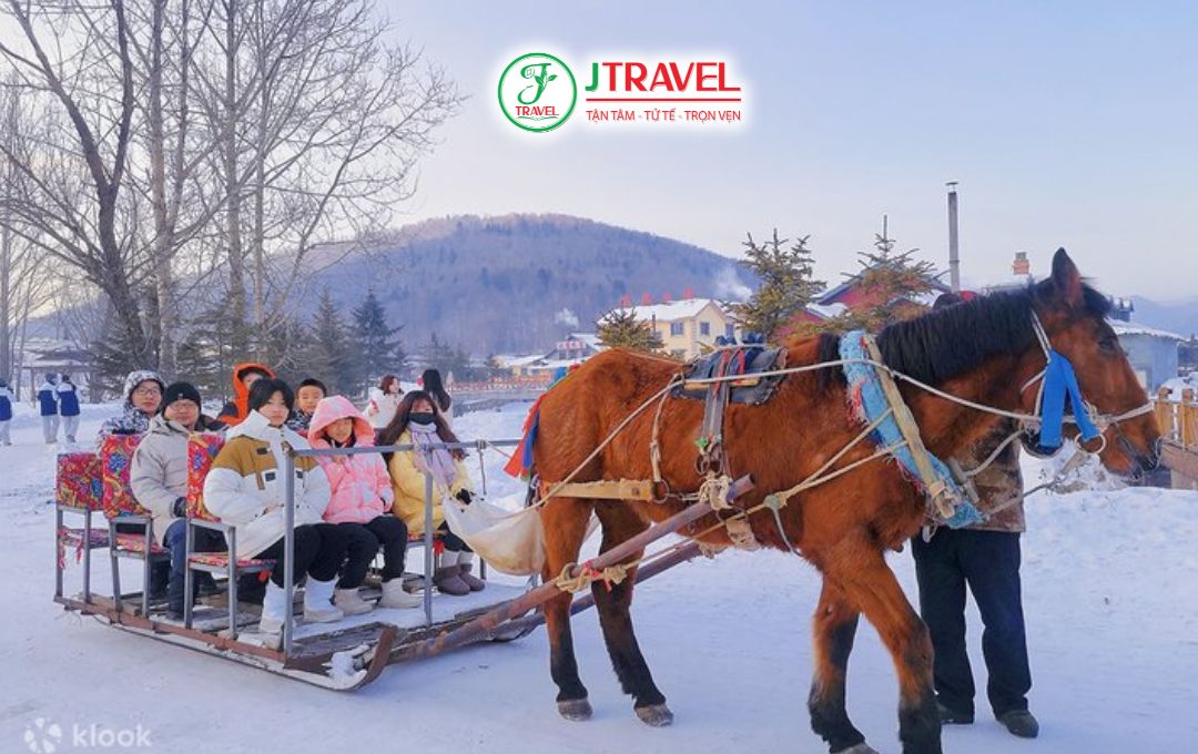 Horse-drawn sleigh 