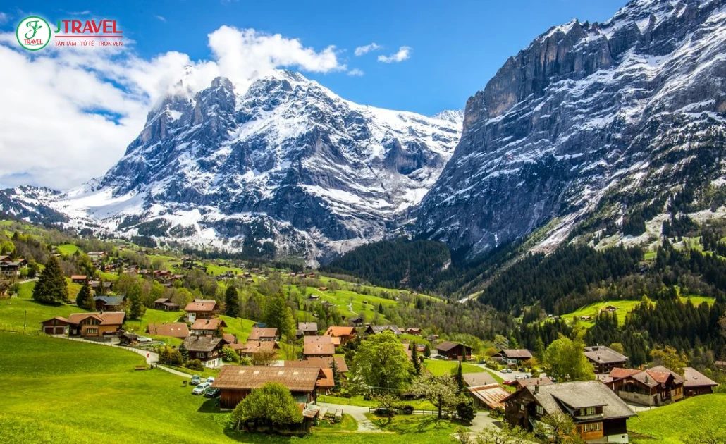 Đồng cỏ xanh mướt tại Grindelwald