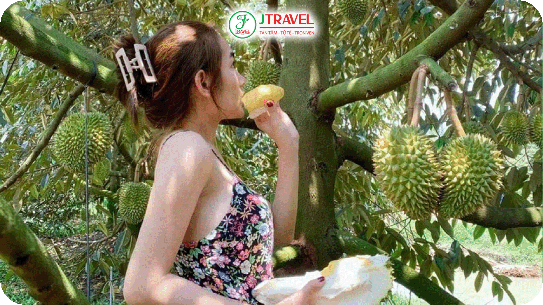 Vườn trái cây Vĩnh Kim đón một lượng lớn người hàng năm