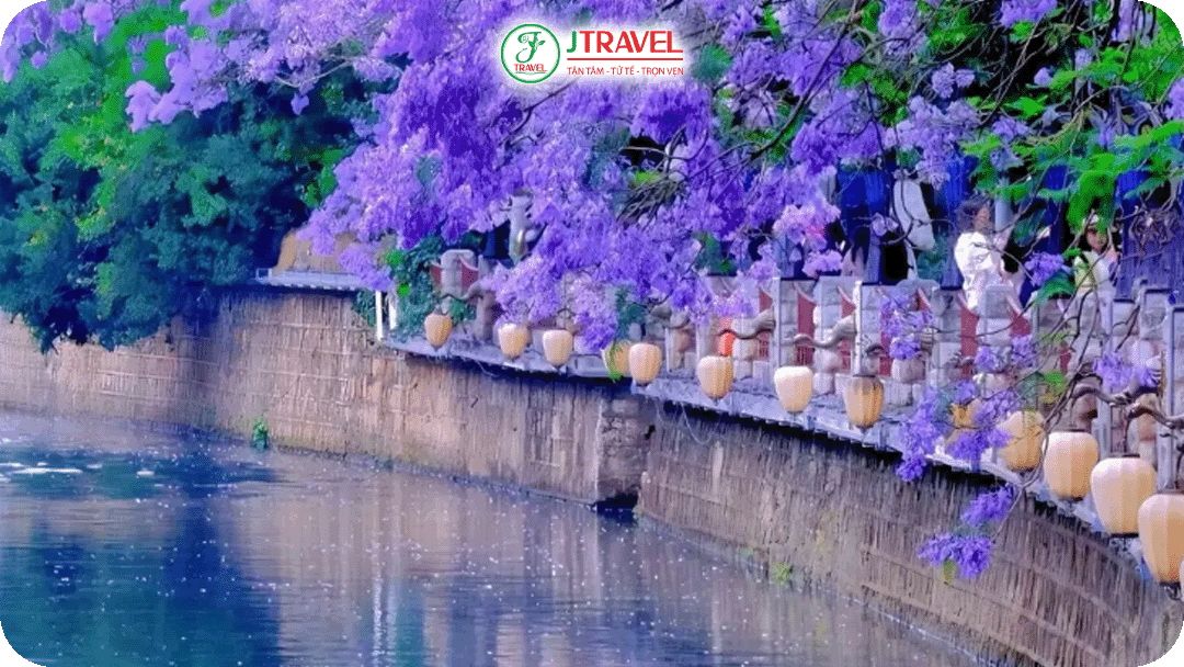 Khu vực quanh Hồ Điền Trì thích hợp ngắm hoa tím