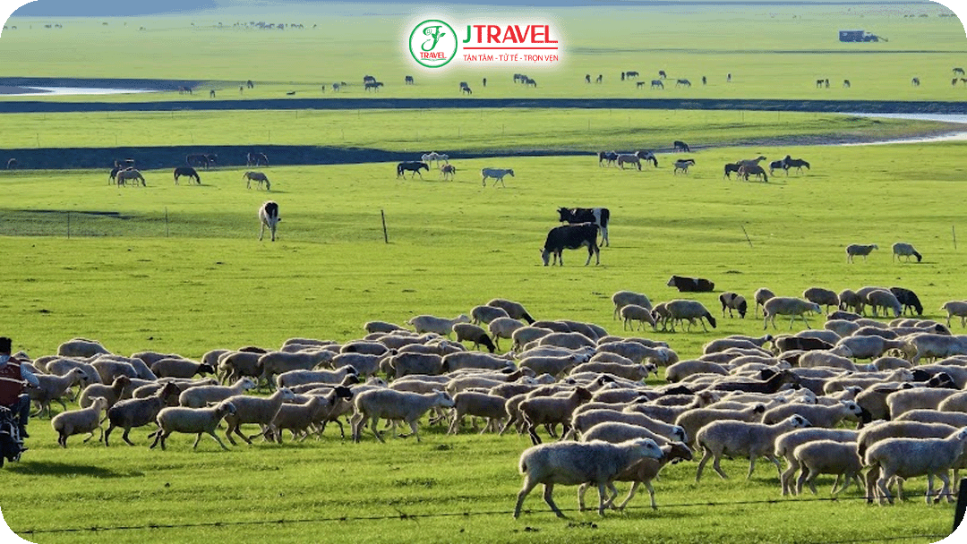 Hô Luân Bối Nhĩ là một trong bốn thảo nguyên lớn nhất thế giới