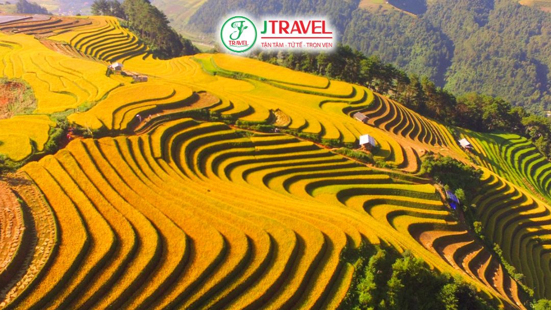 Ruộng bậc thang Mù Cang Chải mùa lúa chín