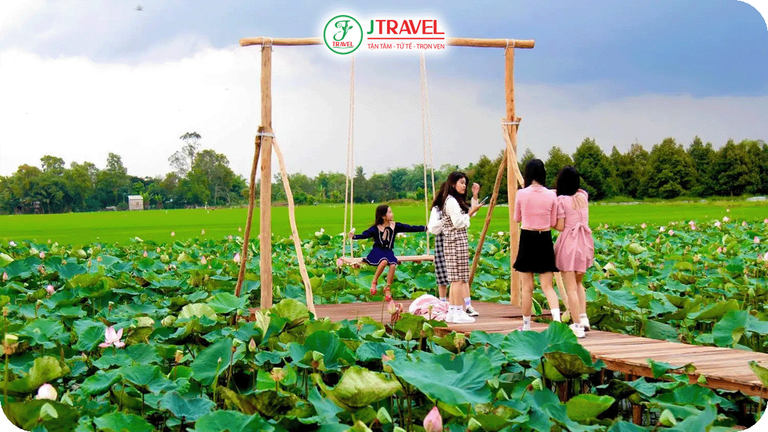 Khu du lịch Đồng sen Tháp Mười bát ngát cảnh sắc miền tây
