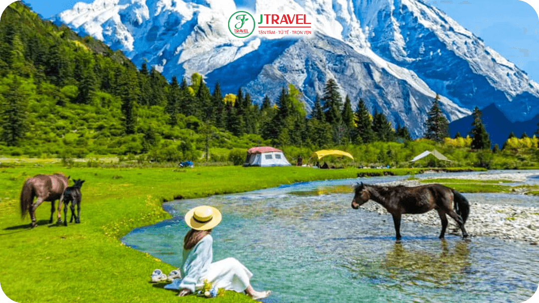Ngưu Trường Lạc Nhung - Một thảo nguyên xanh ngát ở độ cao 4.180m