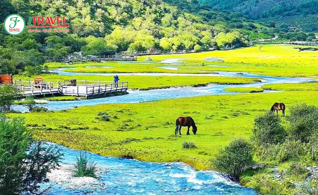 Mùa xuân Á Đinh tháng 4-6 thời tiết ổn định tuyết tan dần