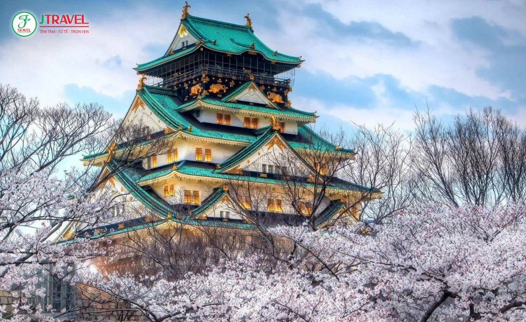 Lâu đài Osaka nổi bật giữa rừng hoa anh đào nở rộ mùa xuân