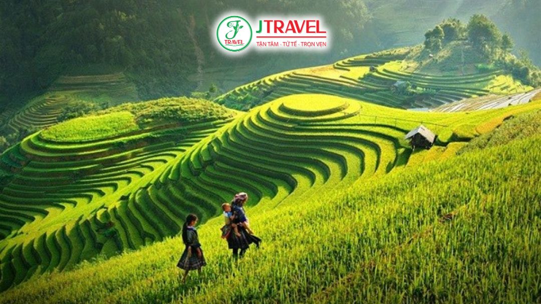 Cảnh ruộng bậc thang Mù Cang Chải xanh mướt vào tháng 7 – 8