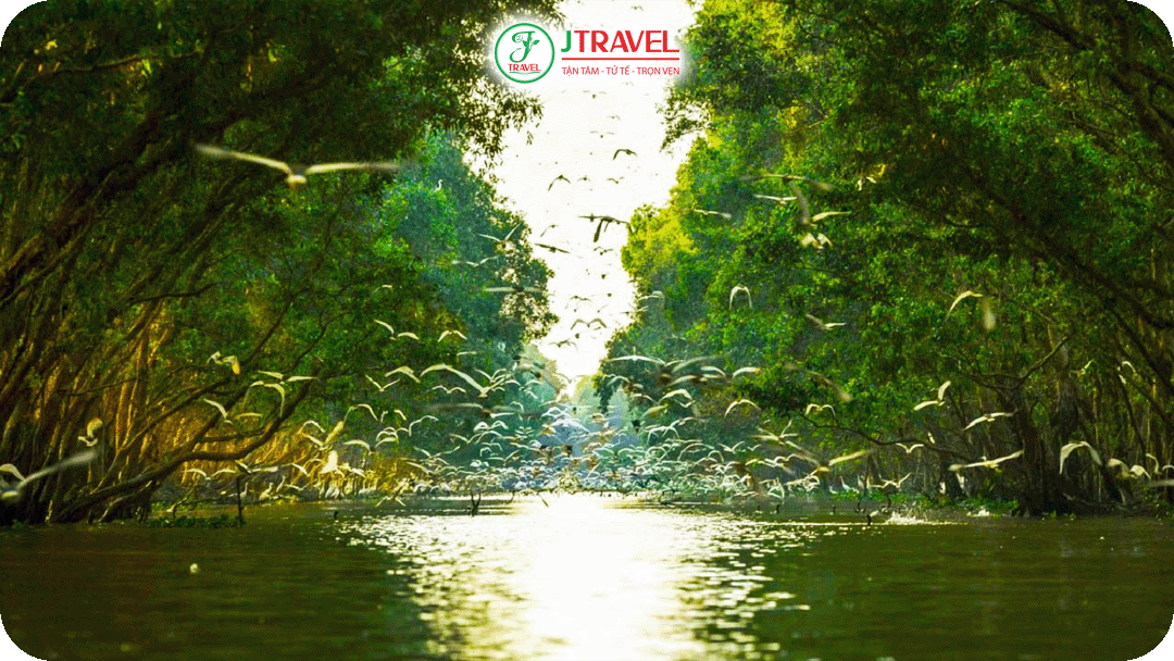 Vườn quốc gia Tràm Chim huyện Tam Nông, tỉnh Đồng Tháp