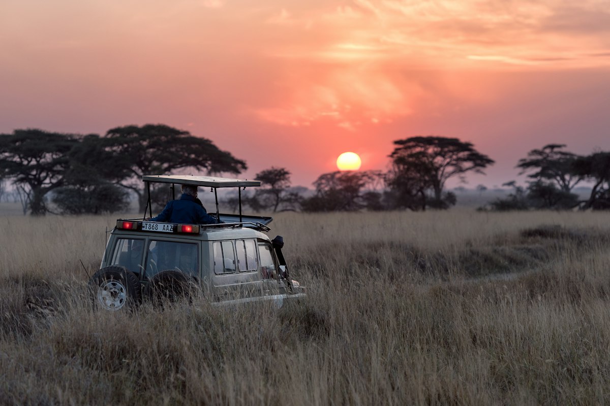 Xe safari giữa thảo nguyên Serengeti lúc hoàng hôn