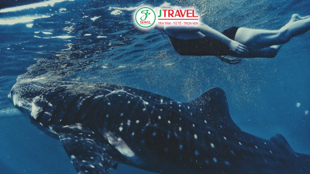 Không sử dụng kem chống nắng thông thường