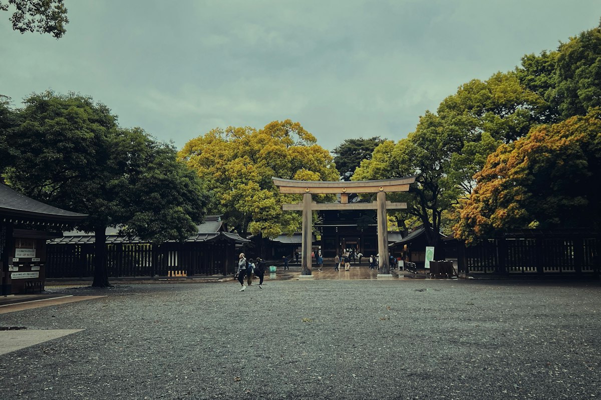 Cổng torii bằng gỗ trên lối vào đền Meiji Jingu Tokyo