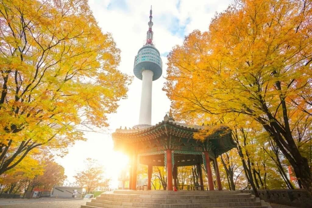 Tour Hàn Quốc Mùa Thu: Seoul - Nami - Everland 5N4Đ Giờ bay đẹp | Tặng Painter Show & mặc trang phục Hanbok