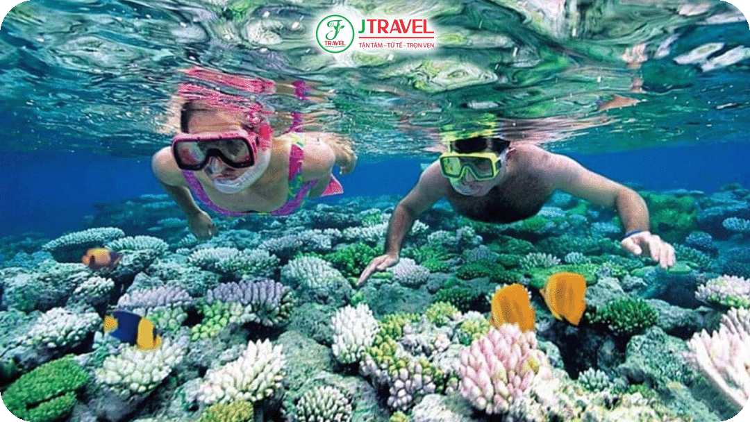 Lặn ngắm san hô thú vị tại đảo Phú Quốc